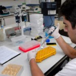 La ULPGC busca nuevos probióticos para prevenir patologías en acuicultura