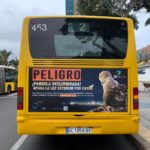 Proyecto LuminAves | “Peligro, ¡pardela deslumbrada!”: el mensaje que viaja en guagua en Canarias